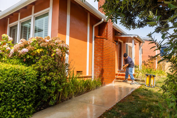 Best Affordable Power Washing  in Grand Ledge, MI