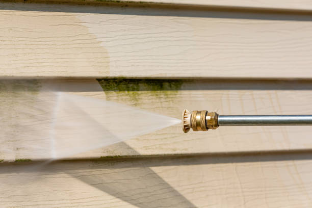 Best Fence Pressure Washing  in Grand Ledge, MI